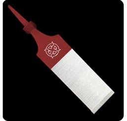 Firmer Chisel (Surface Grinded Quality)